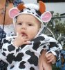 Filename=Aleah_s_first_Halloween_Oct_08-2.JPG
Filesize=135KB
Dimensions=565x600
Date added=Nov 02, 2008 Aleah_s_first_Halloween_Oct_08-2.JPG