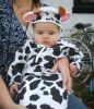Filename=Our_little_calf-2.JPG
Filesize=134KB
Dimensions=521x600
Date added=Nov 02, 2008 Our_little_calf-2.JPG